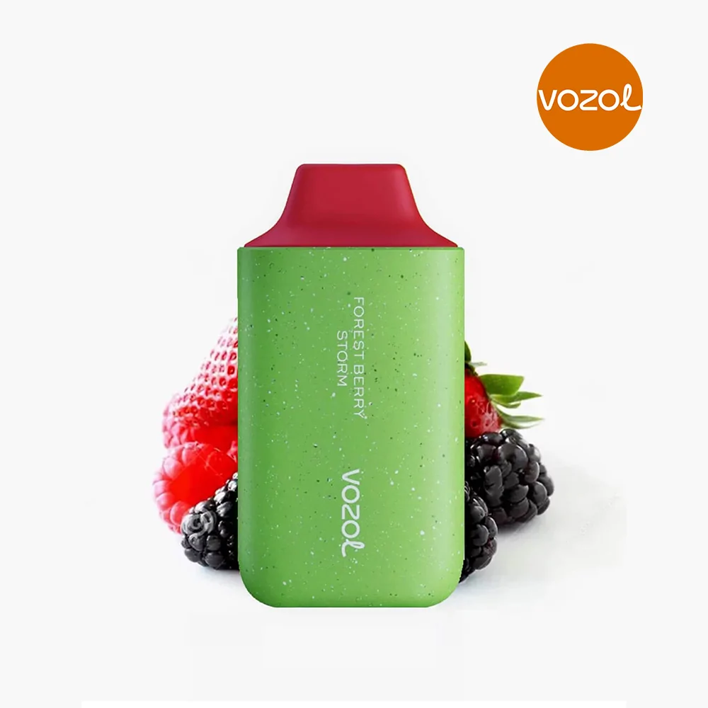 Vozol-6000-–-Forest-Berry-Storm-Puff.jpg