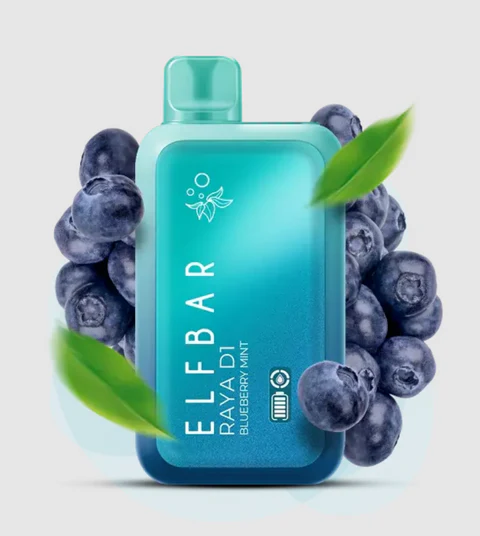 ElfBarRayaD113000PuffBlueberryMinti