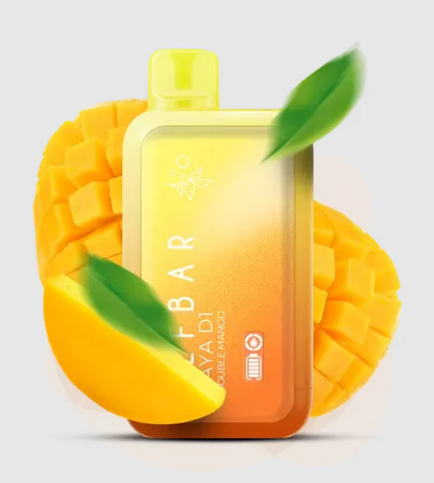 ElfBarRayaD113000PuffDoubleMango