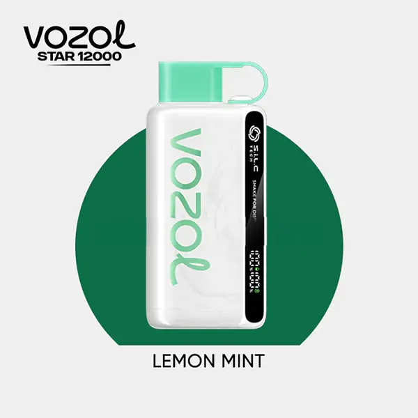 vozol-star-12000-lemon-mint.jpg