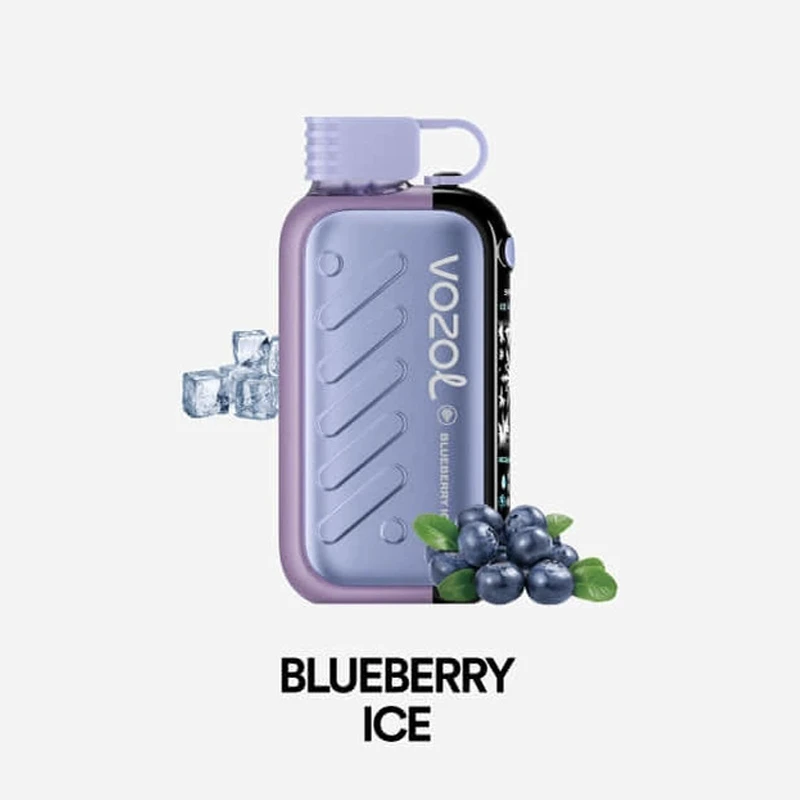 Vozol-Gear-50000-Blueberry-Ice